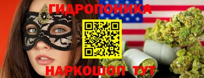 сатива Будённовск