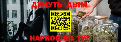 сатива Будённовск