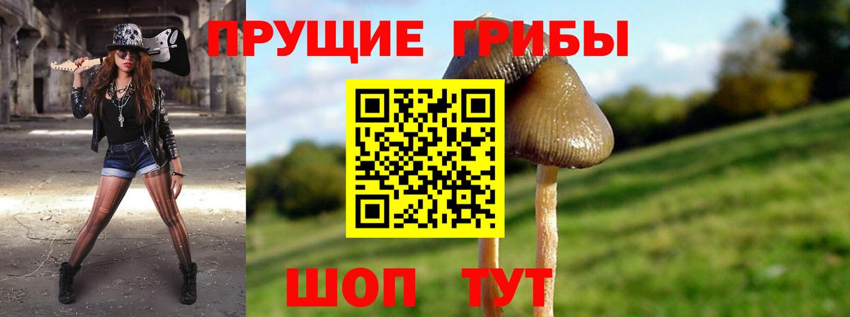 купить  сайты  Вход с VPN  Шуя  Галлюциногенные грибы GOLDEN TEACHER 